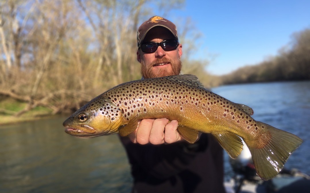 3.15.17 Little Red River Fishing Report